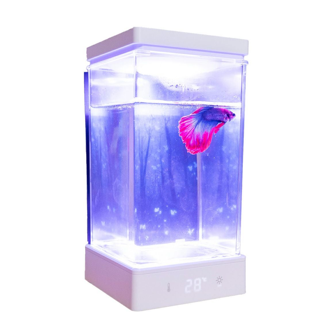 らくらく☆ベタ水槽 BETAβ1 | アクリル板のDIYカット品・加工品の通販