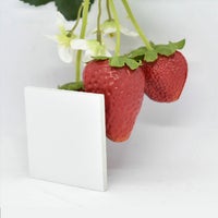 デポパネル　商品画像